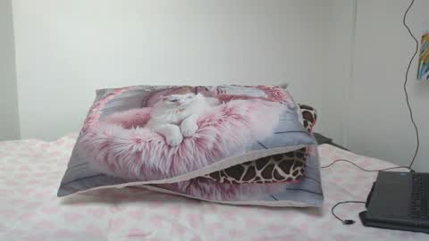 Dolcevainin online show from April 2, 2026, 12:36 pm