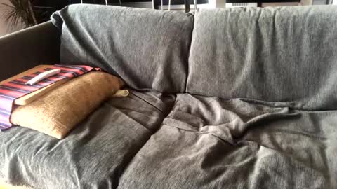 Snapshot of donizetti2017 chatting on January 14, 2025, 11:10 am Alfredo online show from January 14, 2025, 11:10 am