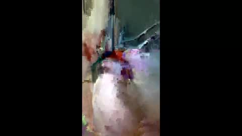 Snapshot of doogie215 chatting on March 3, 2026, 12:50 am doogie215 online show from March 3, 2026, 12:50 am