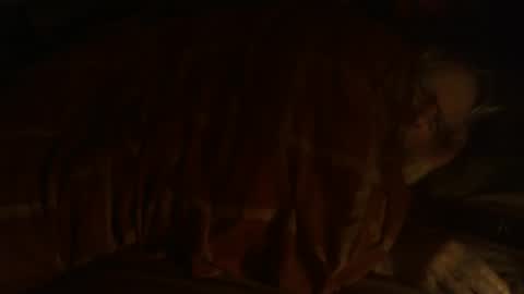 Snapshot of dorsetbiker714 chatting on December 25, 2024, 9:33 pm Hello welcome to Slutsville I am the Naked Chef really but you may call me Peter online show from December 25, 2024, 9:33 pm