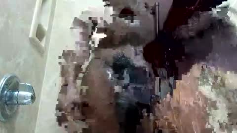 Snapshot of dpirated1 chatting on January 18, 2026, 1:59 pm MrPirated online show from January 18, 2026, 1:59 pm