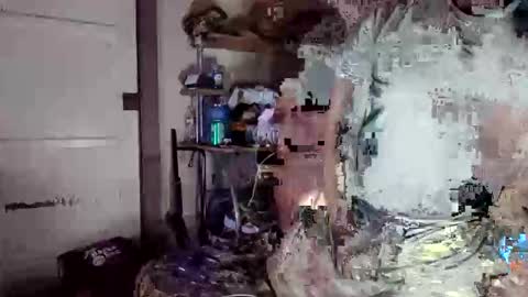 Snapshot of dpirated1 chatting on April 8, 2026, 11:32 am MrPirated online show from April 8, 2026, 11:32 am