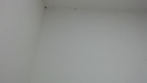 Snapshot of drako_monstercock chatting on January 17, 2026, 10:46 pm drako_monstercock online show from January 17, 2026, 10:46 pm