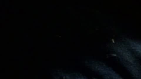 Snapshot of dreadedted chatting on November 24, 2025, 8:14 am Dreadedted online show from November 24, 2025, 8:14 am