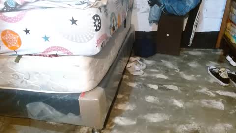 dreamreal online show from March 29, 2026, 10:37 am