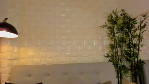 Snapshot of dreammr1 chatting on January 15, 2025, 1:45 am cris online show from January 15, 2025, 1:45 am