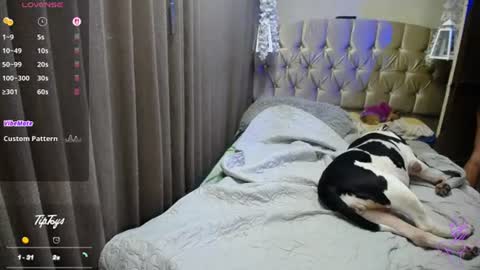 Snapshot of dreams_sophi chatting on July 16, 2026, 1:22 am Sophia online show from July 16, 2026, 1:22 am