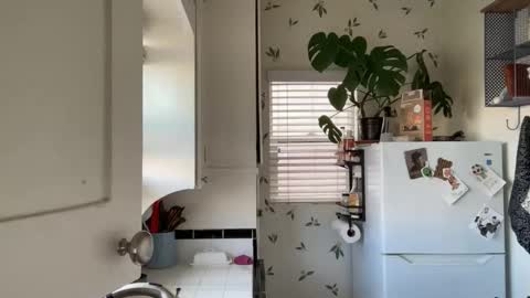 Snapshot of dreamyriri chatting on February 9, 2025, 5:22 pm RIRI OR DREAMY online show from February 9, 2025, 5:22 pm