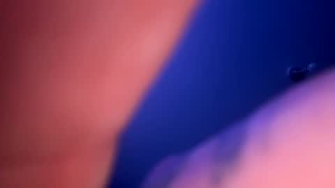 drippinggenie online show from January 23, 2025, 3:32 pm