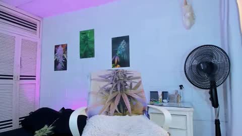 drippyorlove online show from February 24, 2026, 5:55 pm