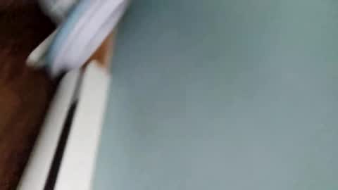 Snapshot of drpops911 chatting on November 15, 2025, 2:24 pm drpops911 online show from November 15, 2025, 2:24 pm