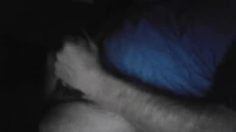 Snapshot of drthick1224 chatting on November 3, 2025, 2:35 am drthick1224 online show from November 3, 2025, 2:35 am