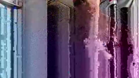 Snapshot of dsmock chatting on October 1, 2025, 6:08 am dsmock online show from October 1, 2025, 6:08 am