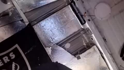 Snapshot of dsmock chatting on February 15, 2026, 10:58 am dsmock online show from February 15, 2026, 10:58 am