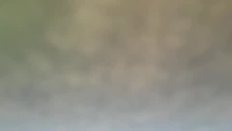 Snapshot of dt51114 chatting on December 21, 2024, 6:55 pm StraightStroker online show from December 21, 2024, 6:55 pm