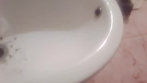 dthedog12 online show from February 8, 2026, 9:40 pm