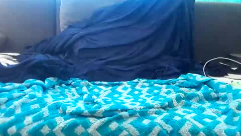 Snapshot of dubsidia chatting on December 26, 2024, 12:16 pm dubsidia online show from December 26, 2024, 12:16 pm