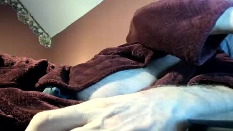 Doug online show from November 16, 2025, 3:01 am