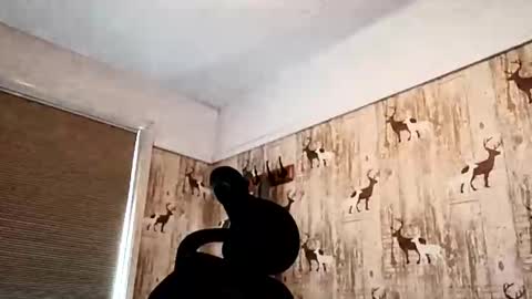 dulac81 online show from September 19, 2025, 9:54 am