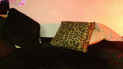   online show from February 12, 2026, 1:33 am