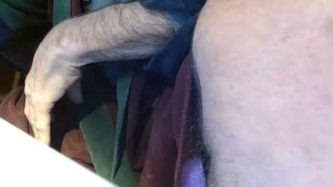 dunany101 online show from January 14, 2025, 1:49 pm