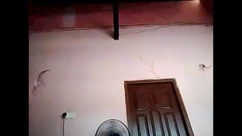 duskytamilkarthik online show from May 16, 2026, 5:15 am