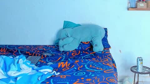 Dylan online show from February 20, 2026, 6:26 am