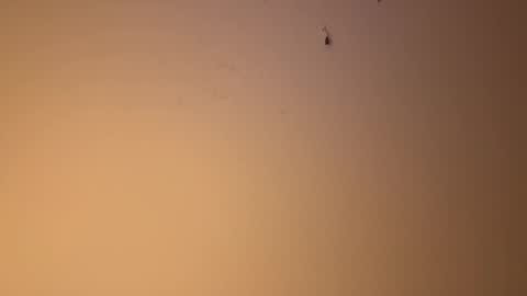 Snapshot of edgingandgooning chatting on December 10, 2024, 6:17 pm edgingandgooning online show from December 10, 2024, 6:17 pm