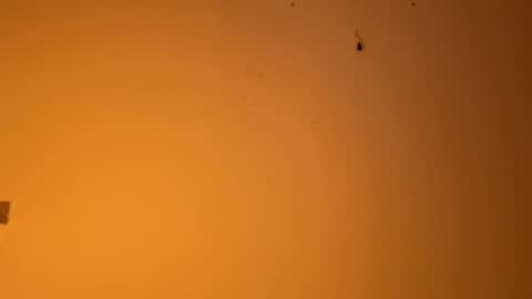 Snapshot of edgingandgooning chatting on December 14, 2024, 7:57 pm edgingandgooning online show from December 14, 2024, 7:57 pm