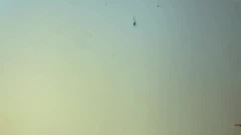 Snapshot of edgingandgooning chatting on January 1, 2025, 11:16 am edgingandgooning online show from January 1, 2025, 11:16 am