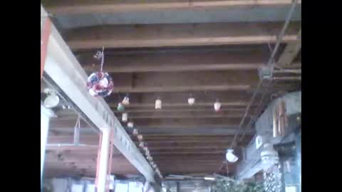 efriff online show from April 18, 2026, 7:58 pm