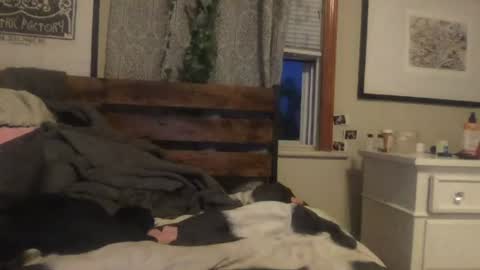 eggnog_and_booty online show from July 27, 2026, 12:39 am