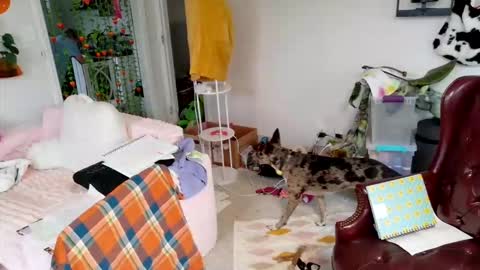 Snapshot of ejrabloom chatting on March 16, 2026, 7:29 pm ejrabloom online show from March 16, 2026, 7:29 pm