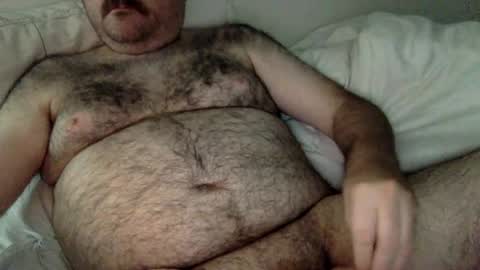 elabear online show from June 22, 2026, 5:26 am