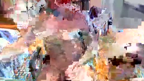 elbasca online show from February 18, 2026, 12:12 pm