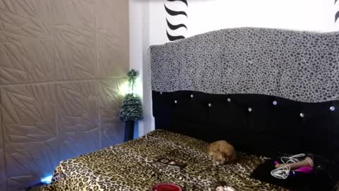 ELEKTRA  hii my birthday is tomorrow but I will celebrate it on Sunday Ill wait for you online show from December 31, 2024, 4:16 am