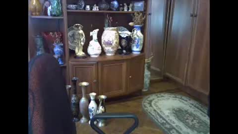 ElenaZed online show from February 13, 2026, 8:10 am