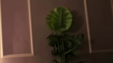 Snapshot of eli_llie chatting on February 18, 2025, 4:48 pm Eli online show from February 18, 2025, 4:48 pm