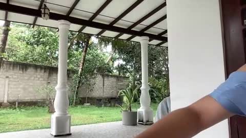 Snapshot of elie_ci chatting on January 28, 2025, 7:00 am online show from January 28, 2025, 7:00 am