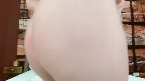 Elle online show from February 6, 2025, 6:40 am