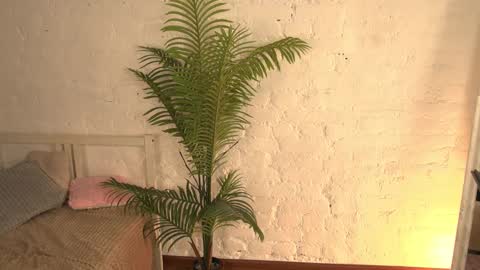 elliefrost online show from March 11, 2025, 3:26 am