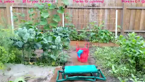 Ella Bella Bo Bella online show from July 22, 2026, 1:47 pm