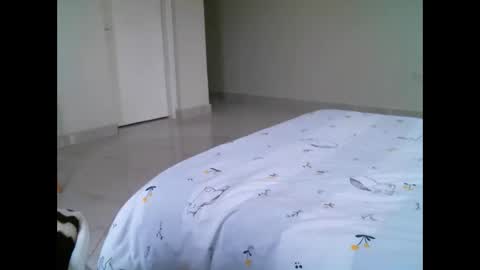 Elphaba online show from February 21, 2026, 10:05 am