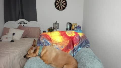 Snapshot of emberpheonixxx chatting on January 17, 2025, 3:12 am Ember Pheonixxx online show from January 17, 2025, 3:12 am