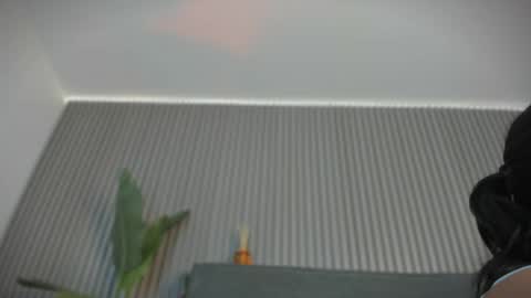 emelie_89 online show from June 3, 2026, 11:35 am