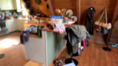 popalottapuss - puddin tits - daddy - buttercup - bonfire - Mrs. Fuck Yea - hibeams - honey buns - online show from November 11, 2025, 5:24 pm