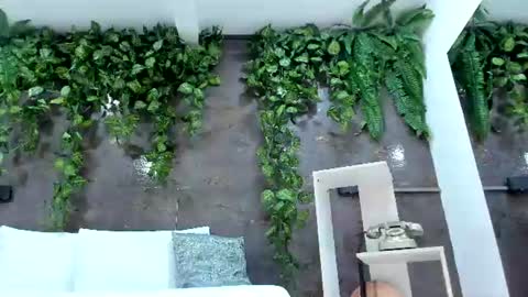 Snapshot of emiily_smile chatting on July 20, 2026, 1:24 pm Emily online show from July 20, 2026, 1:24 pm