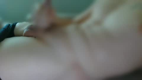 Snapshot of emil2211 chatting on October 28, 2025, 2:42 pm emil2211 online show from October 28, 2025, 2:42 pm