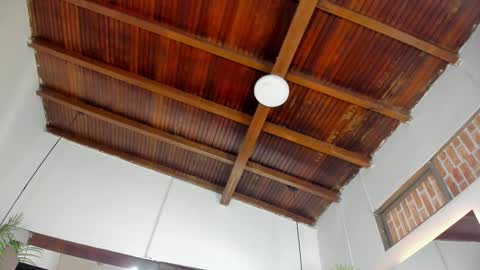 Emily  online show from November 5, 2025, 11:21 am