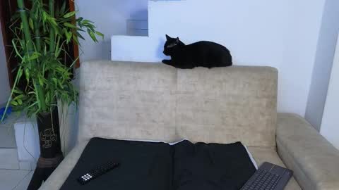 Emma Blue  modelo independiente online show from March 26, 2026, 3:12 am